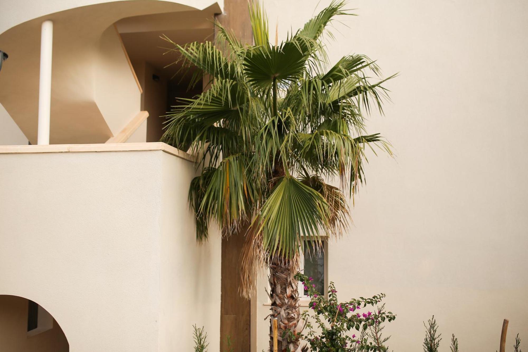 Appartement Modern Flat With Montgo View à Dénia Extérieur photo